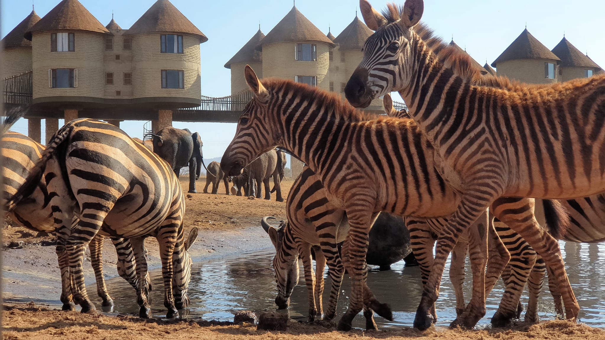 Why Combining Amboseli, Tsavo and the Kenyan Coast Makes Such a Brilliant Safari